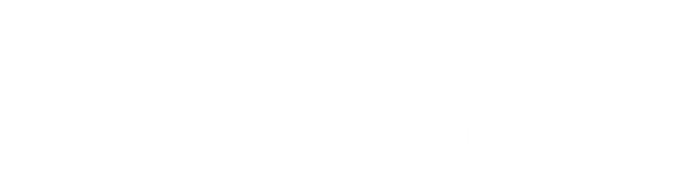Visionary Lifestyles